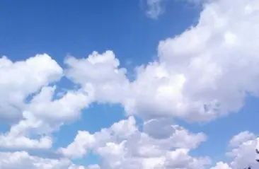 A serene landscape of a vast field filled with trees under a clear blue sky.