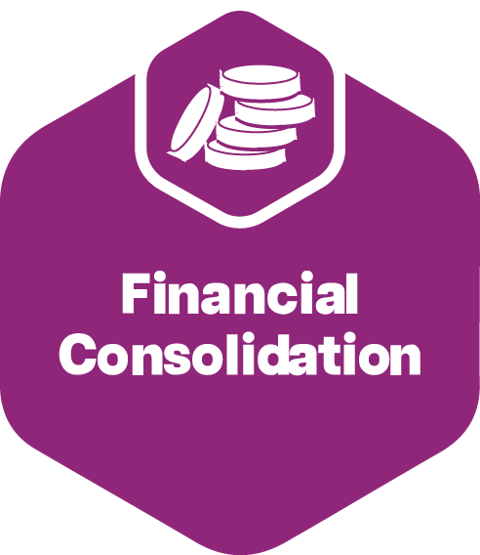 Financial Consolidation hexagon