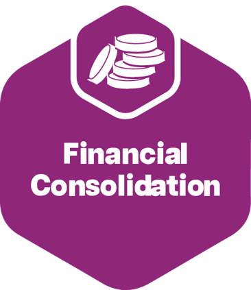 Financial Consolidation hexagon