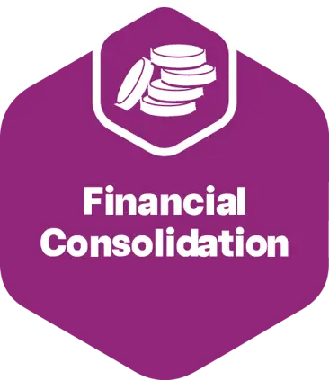 Financial Consolidation hexagon