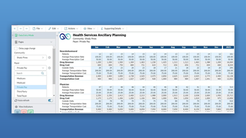 Health services ancillary prophix v1 bluebg 460x259