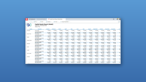 Capital assets report detail prophix v1 bluebg 460x259
