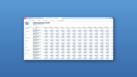 Capital assets report detail prophix v1 bluebg 460x259