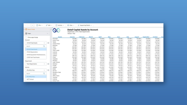 Detail capital assets by account prophix v1 bluebg 460x259
