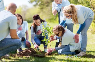Een groep mensen plant bomen in het gras