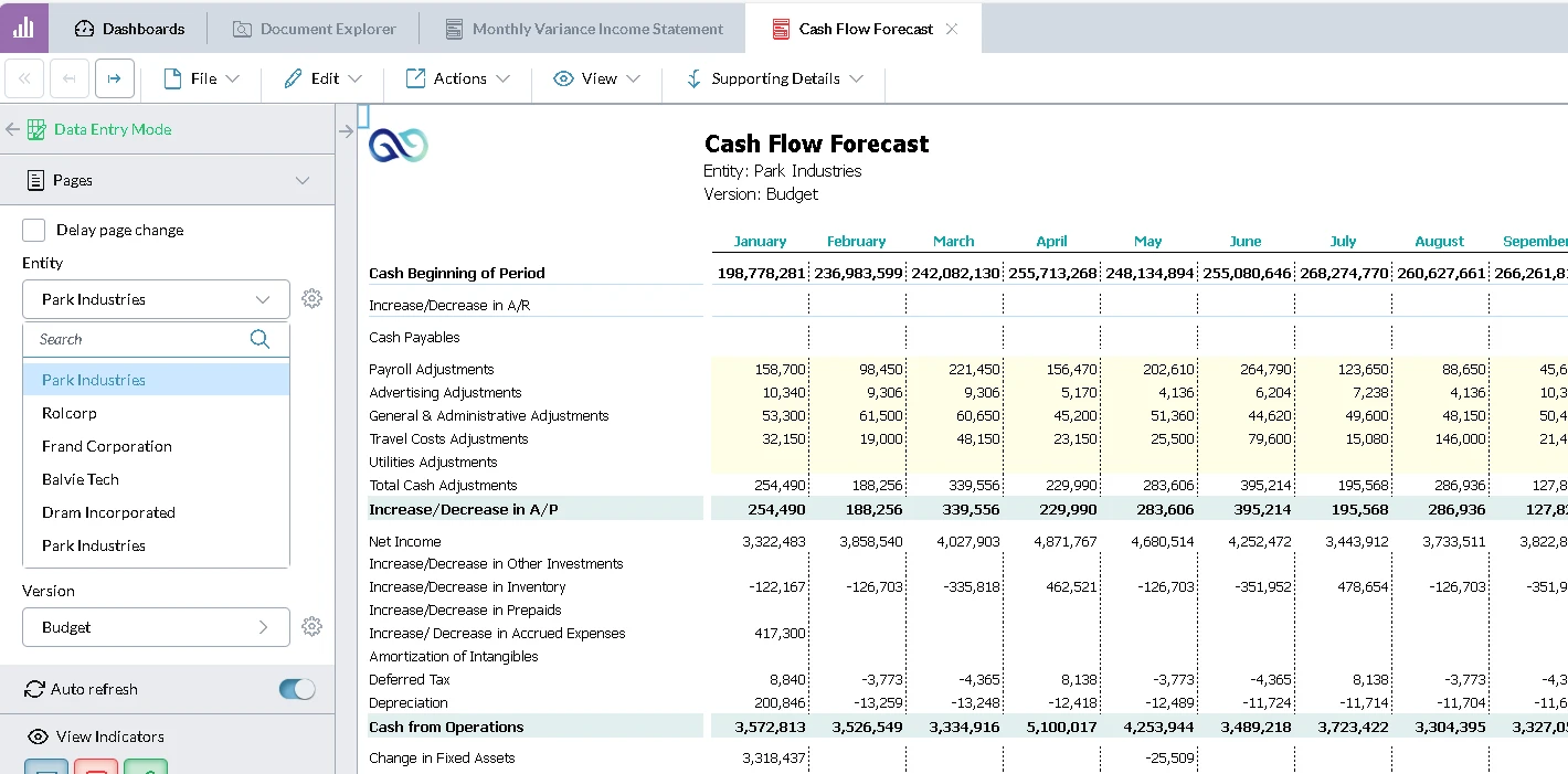 Cash Flow Forecast Screenshot