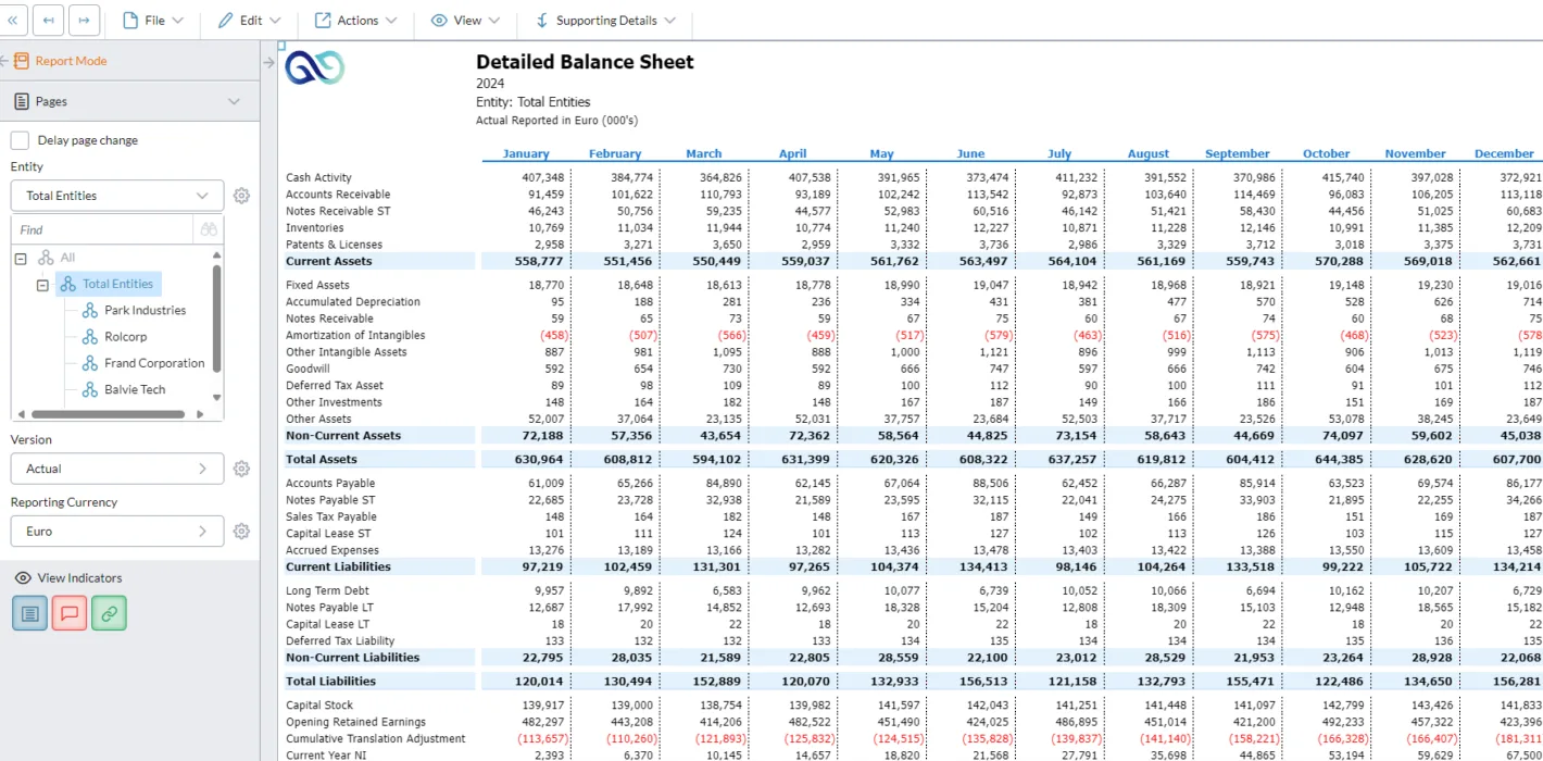 Detailed Balance Sheet screenshot