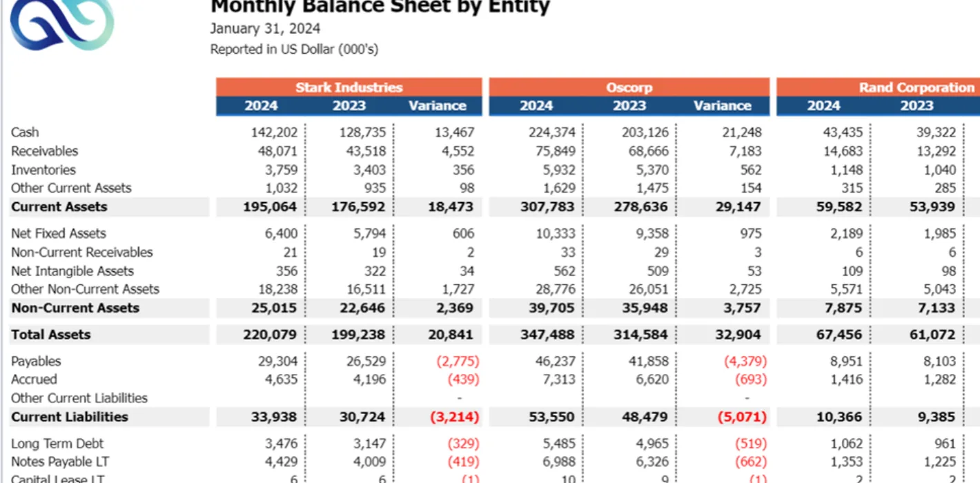 Monthly Balance Sheet by Entity screenshot