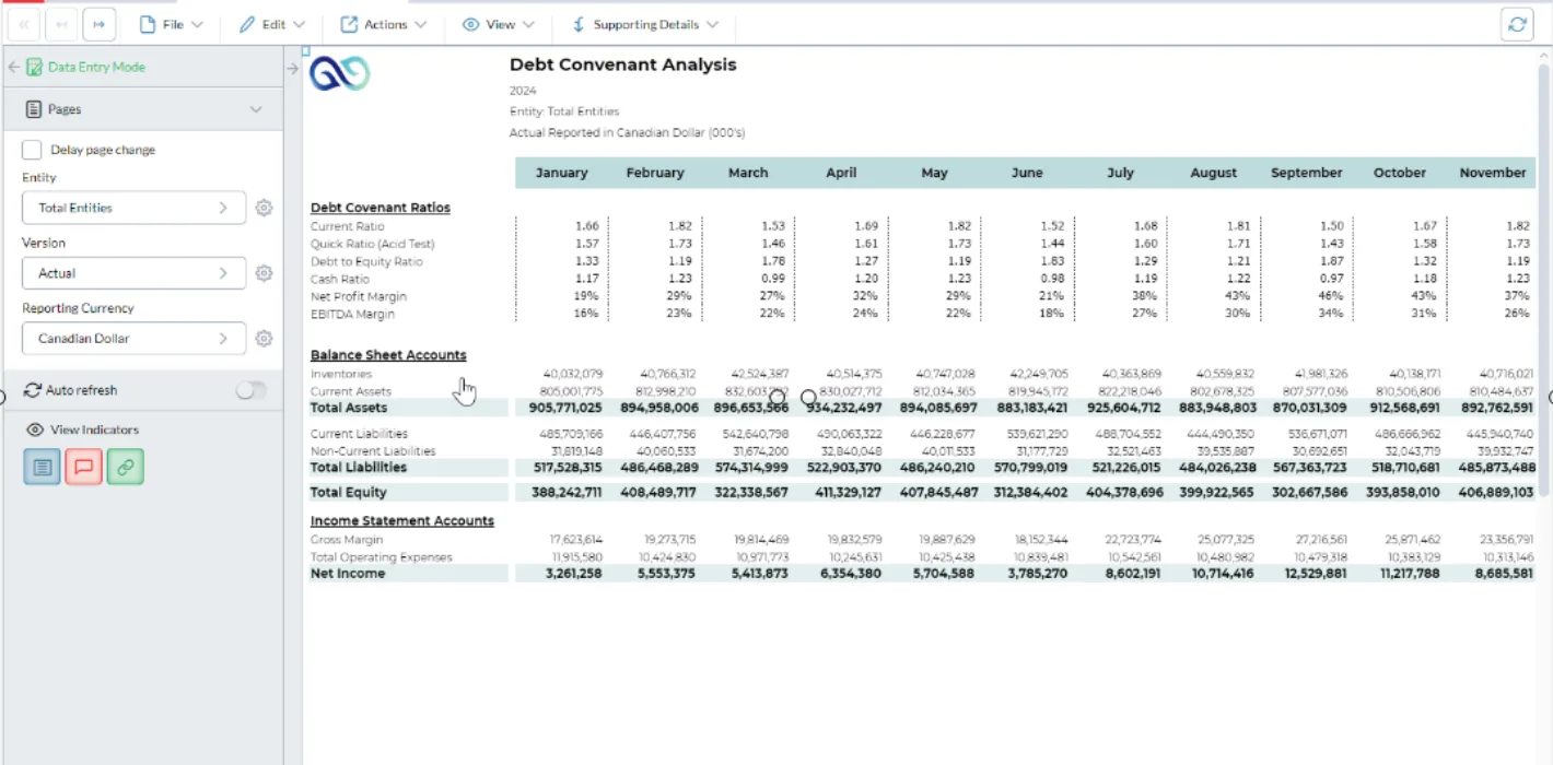 Cash Flow Management - Debt Convenant Analysis screenshot