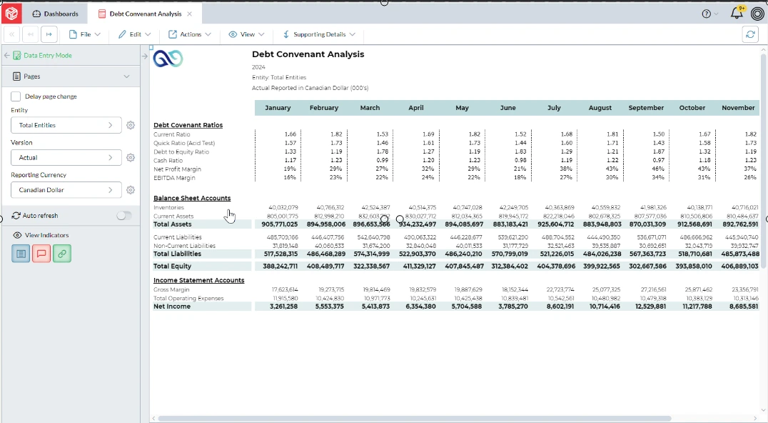 Cash Flow Management - Debt Convenant Analysis screenshot