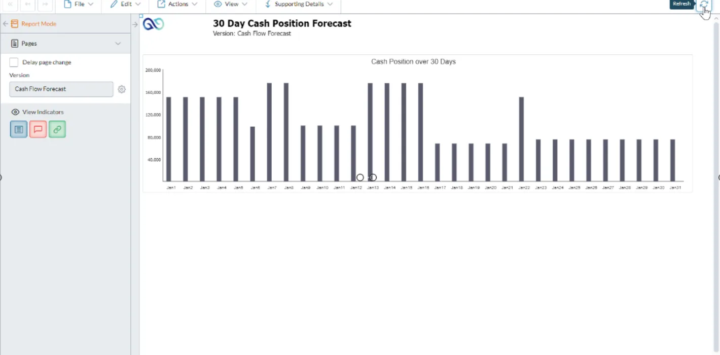 Cash Flow Planning - 30 Day Cash Position Forecast screenshot 02