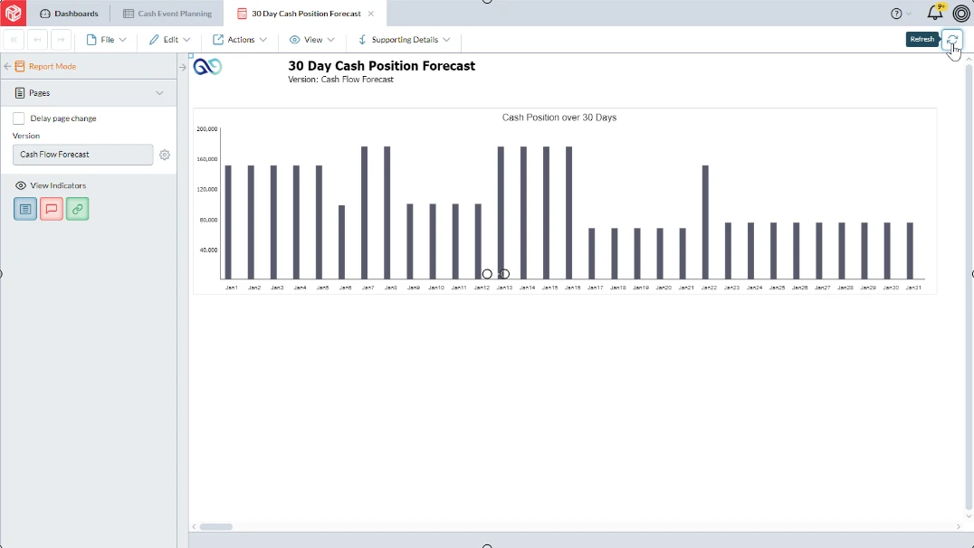 Cash Flow Planning - 30 Day Cash Position Forecast screenshot 02