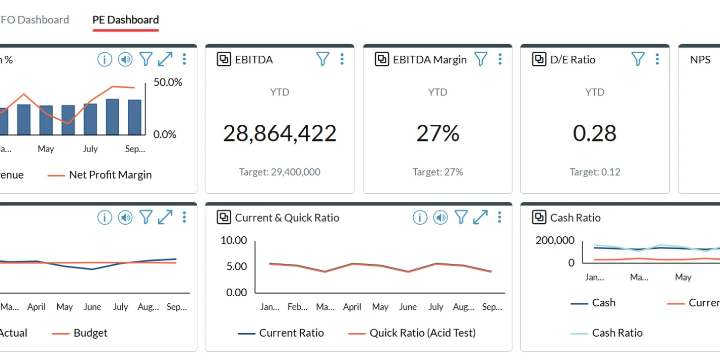 Executive Summary PE Dashboard Screenshot 1