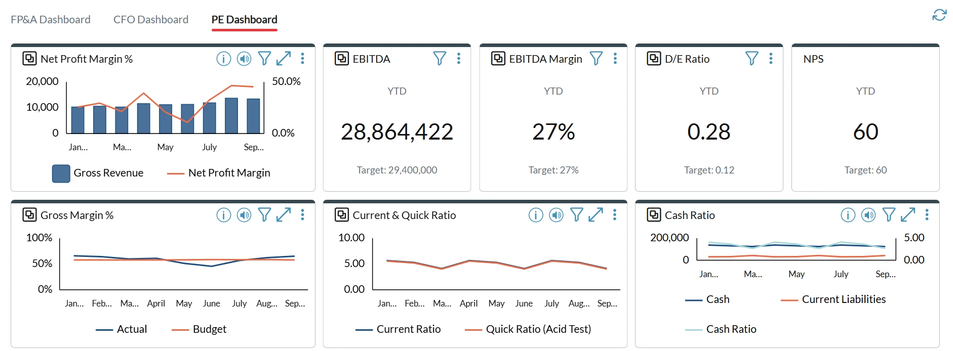 Executive Summary PE Dashboard Screenshot 1