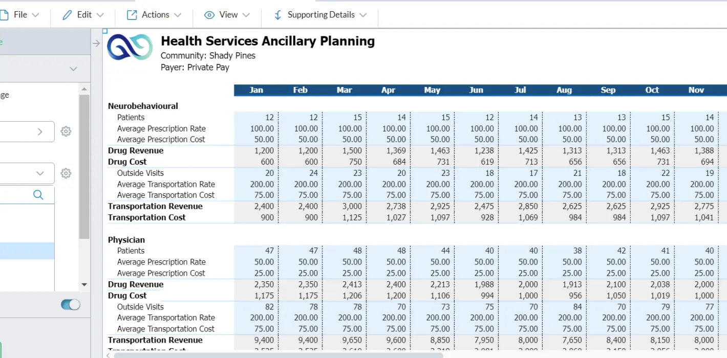 Health Services Ancillary Planning Screenshot 03B