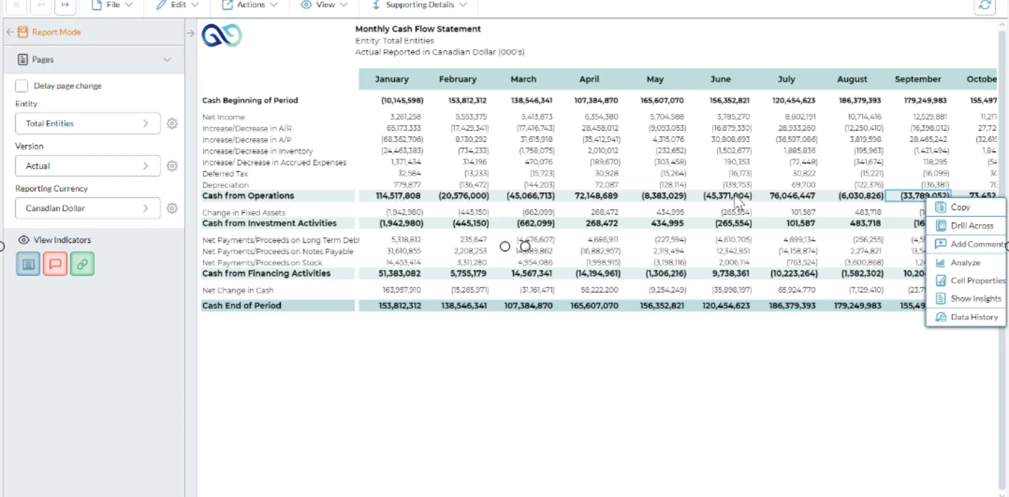 Indirect Cahsflow Statement Screenshot - Monthly