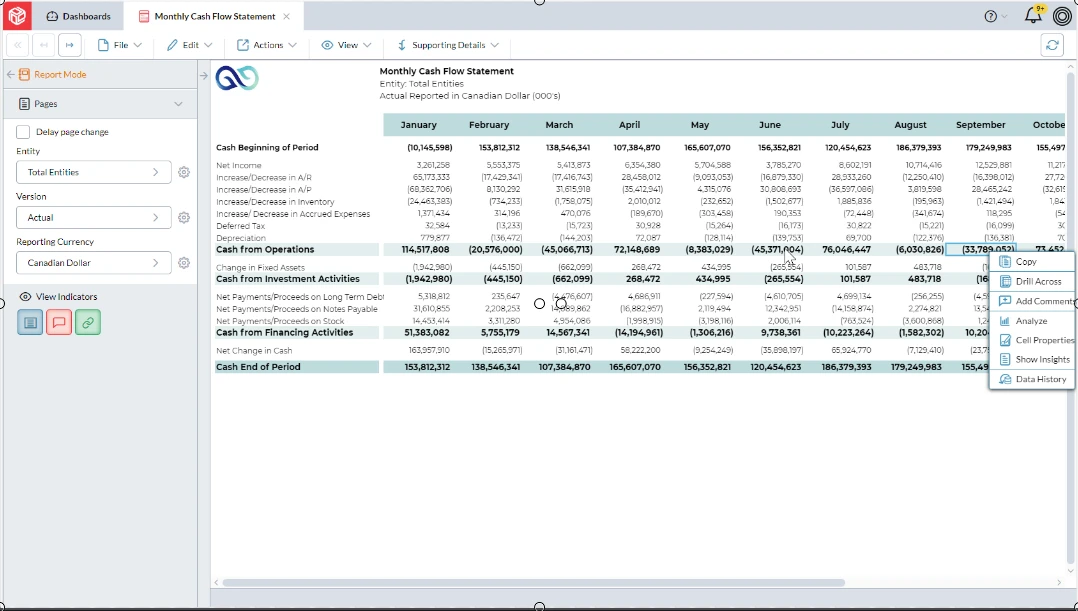 Indirect Cahsflow Statement Screenshot - Monthly