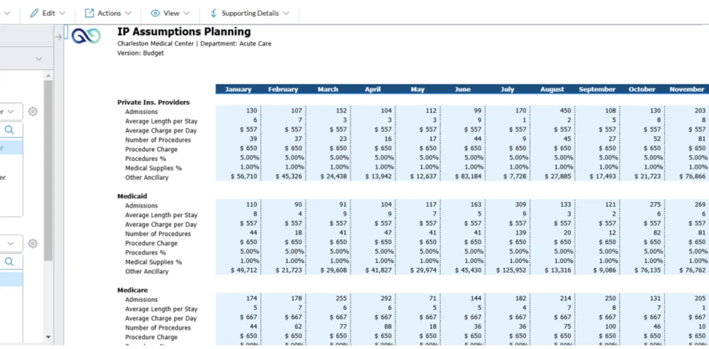 Inpatient Revenue Planning Screenshot - IP Assumption Planning