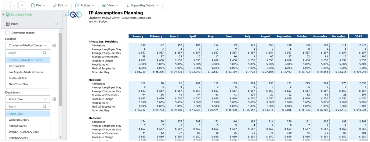 Inpatient Revenue Planning Screenshot - IP Assumption Planning