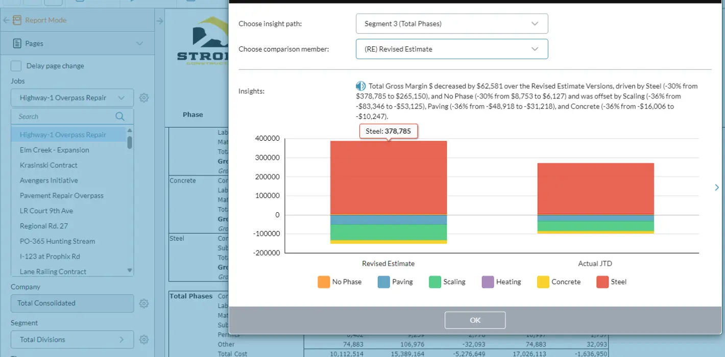 Job Cost Report 7 Data Visual Screenshot