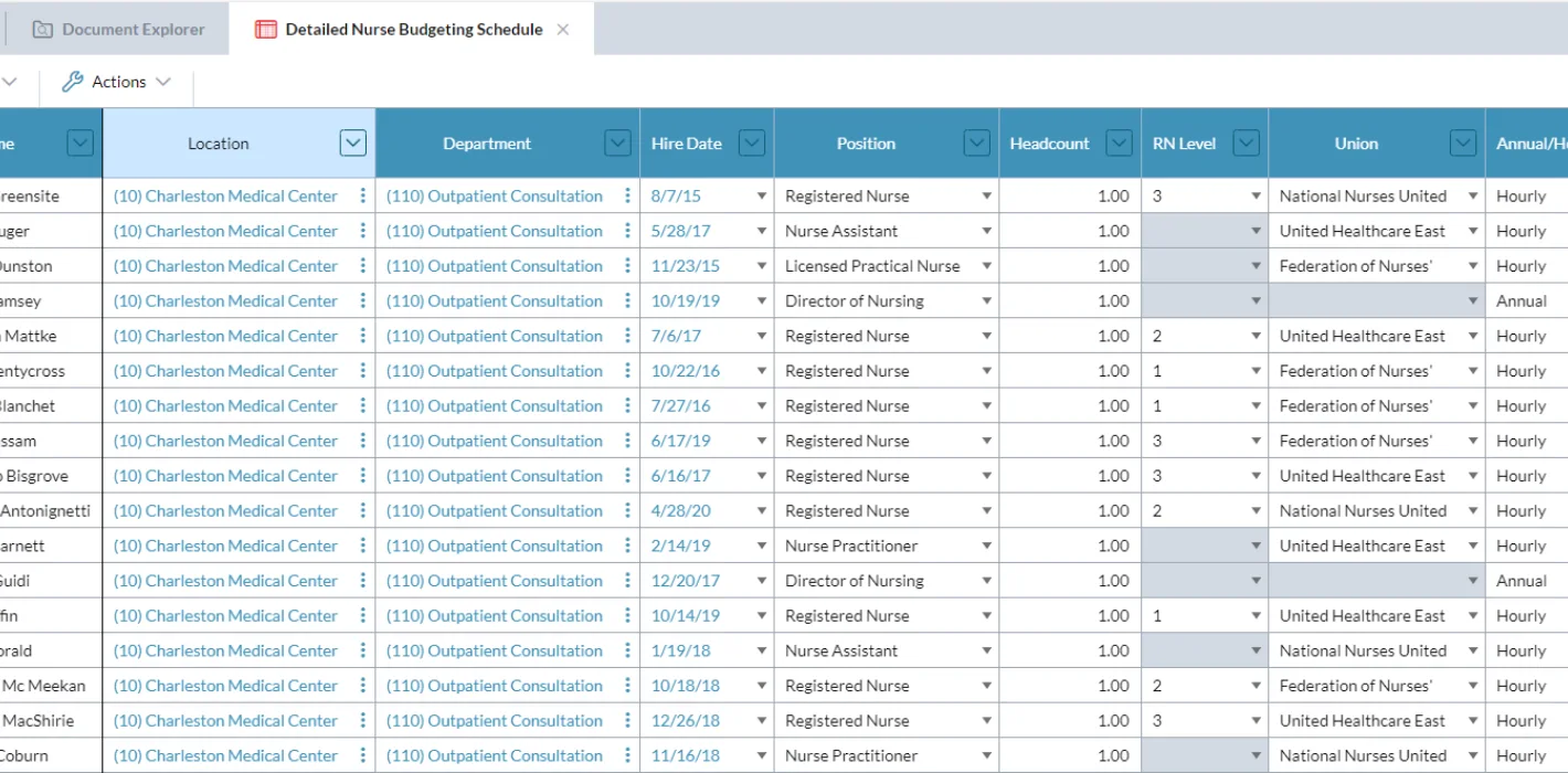 Nurse Staffing 1 File Screenshot