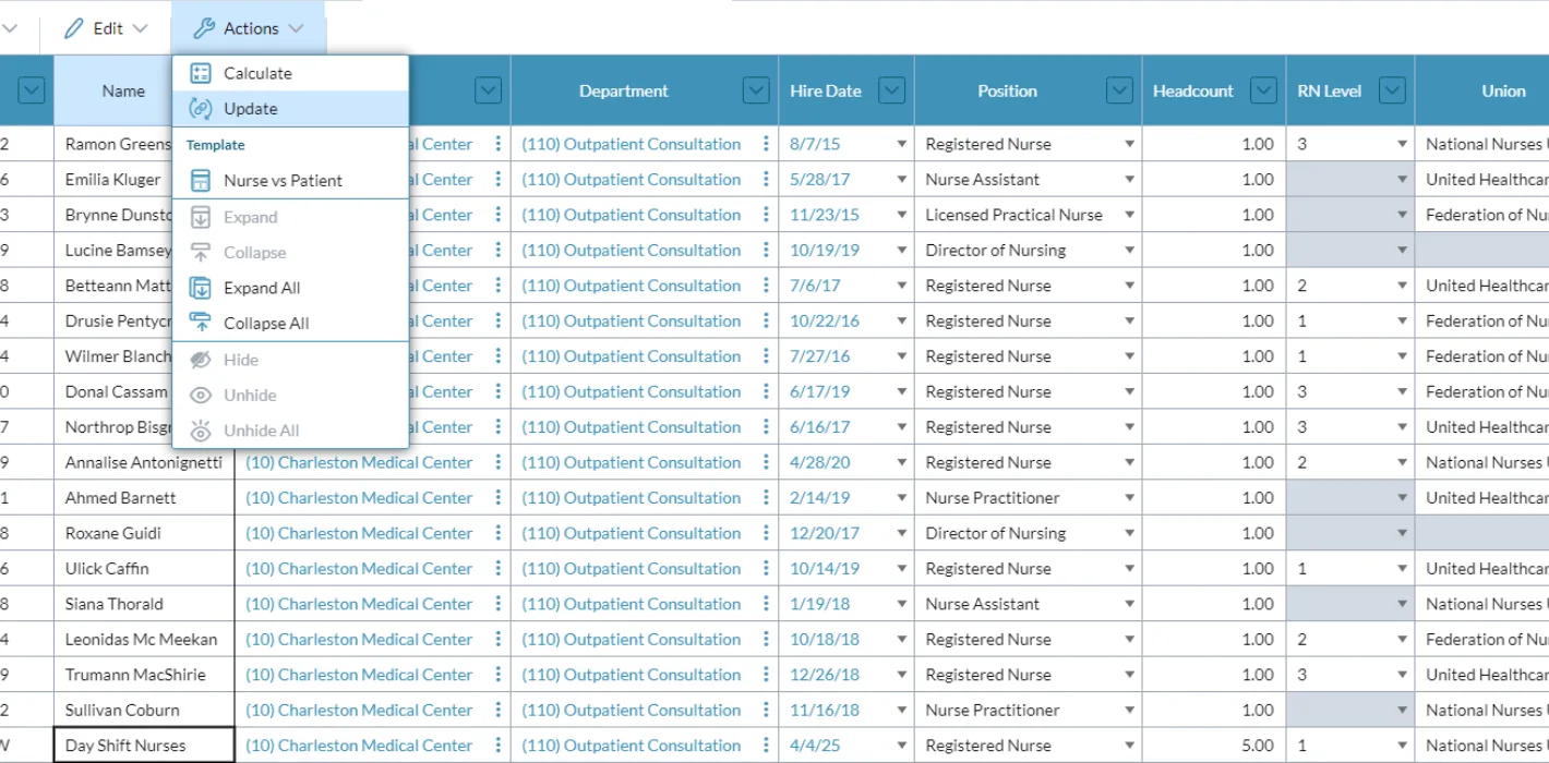 Nurse Staffing 5 Actions Screenshot