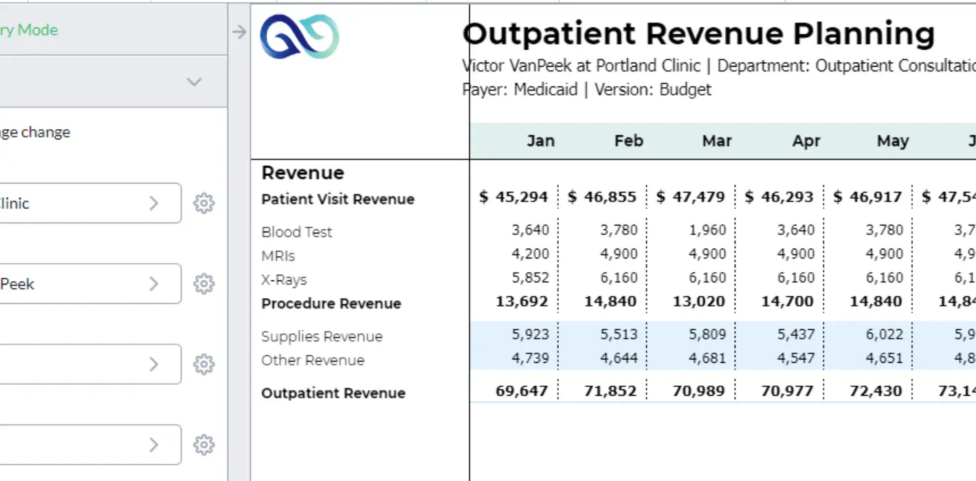 Portland clinic outpatient revenue planning report screenshot