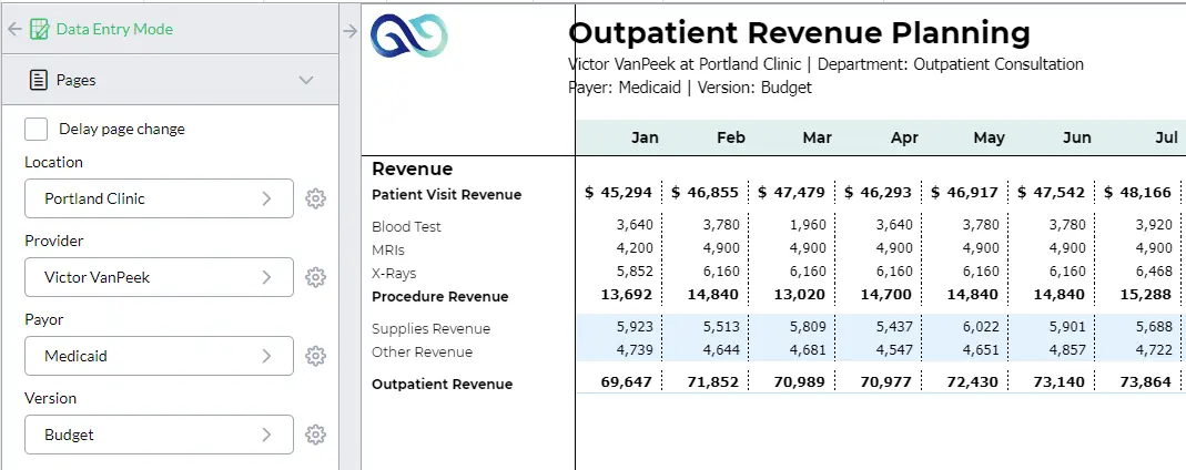 Portland clinic outpatient revenue planning report screenshot