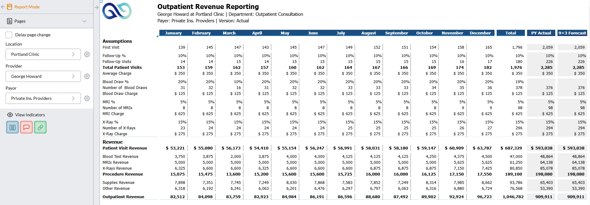 Portland clinic outpatient revenue reporting screenshot