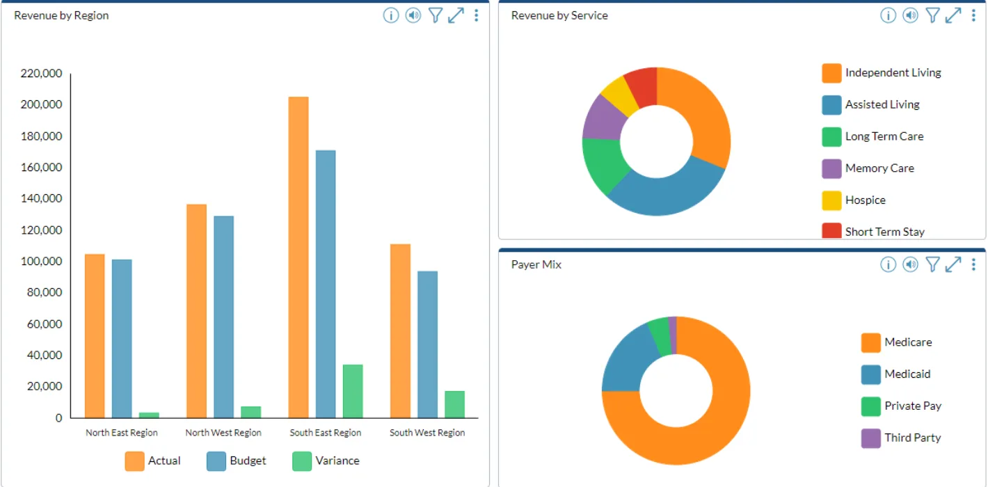 Revenue by region, revenue by service, payer mix screenshot