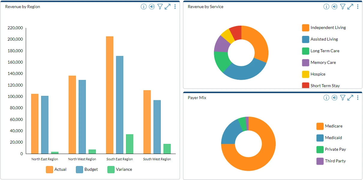 Revenue by region, revenue by service, payer mix screenshot