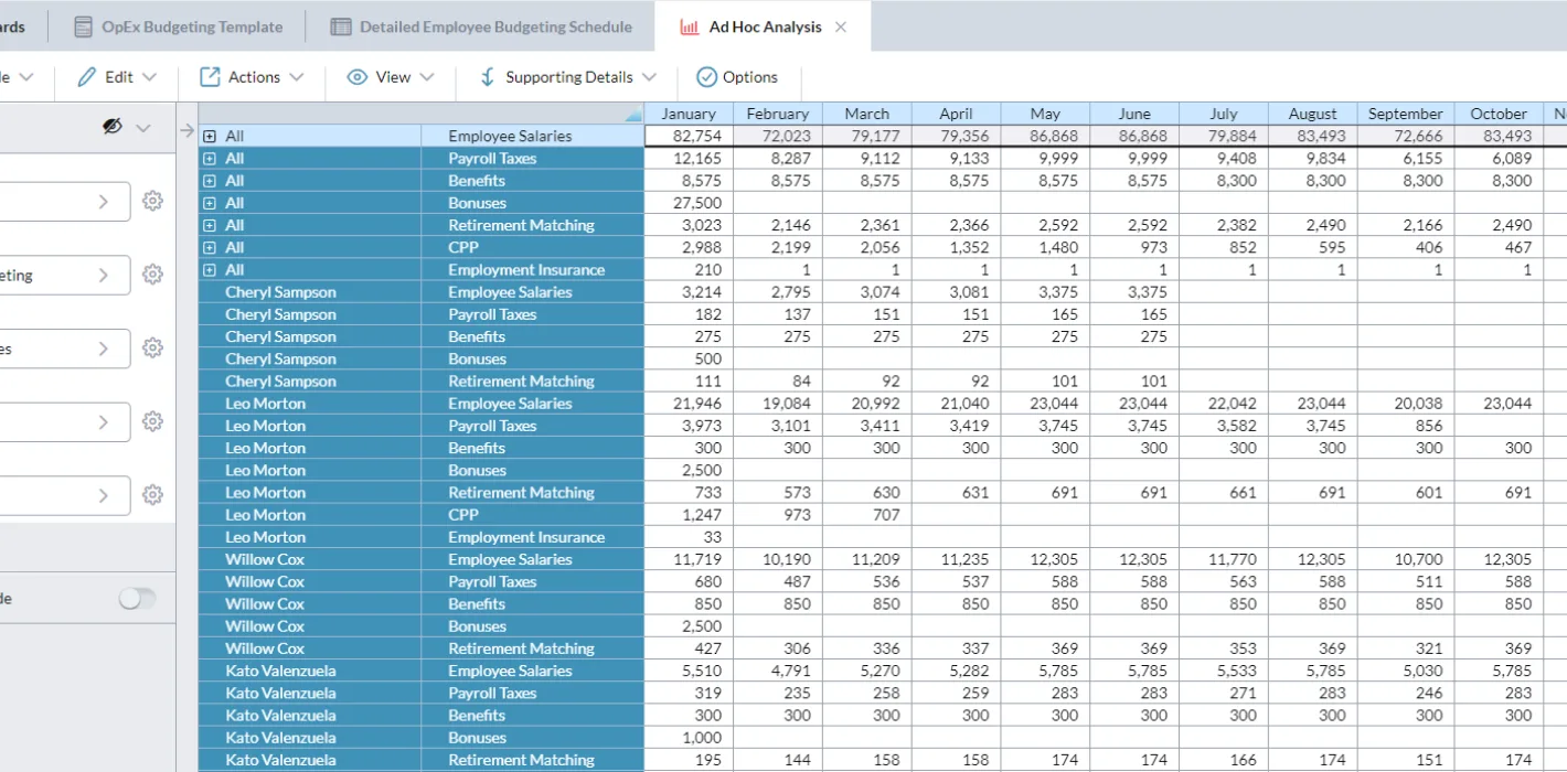 WORKFORCE PLANNING Ad Hoc Analysis Screenshot