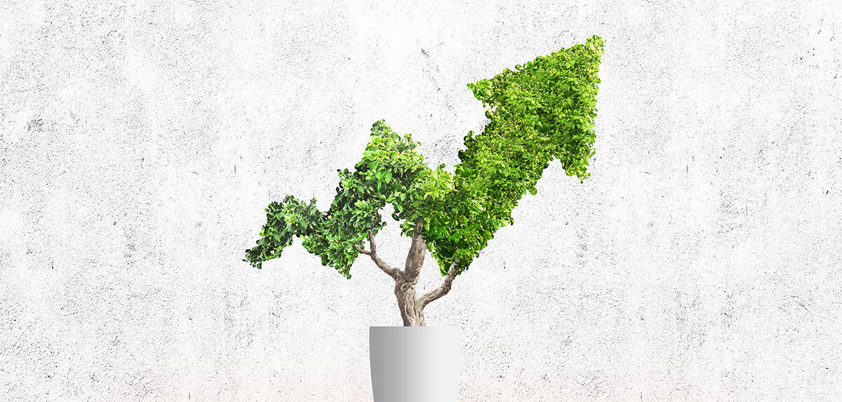 A plant growing with a green-shaped arrow pointing upwards