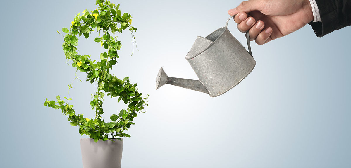 Una persona regando una planta con hojas en forma de signo de dlar.