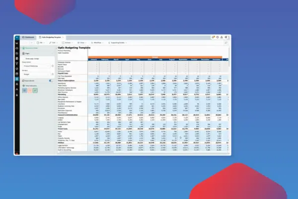 Planning and Budgeting with Prophix One™