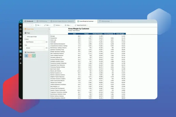 How to do detailed margin analysis with large data sets with Prophix One™ FP&A Plus